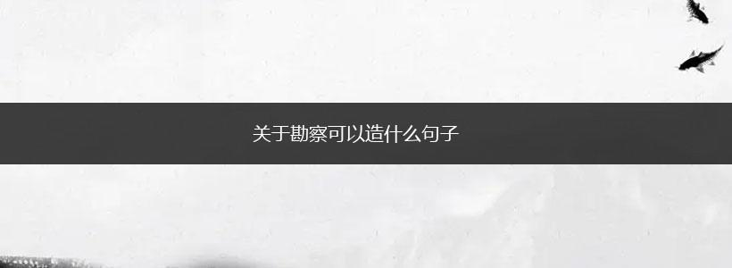 关于勘察可以造什么句子,第1张