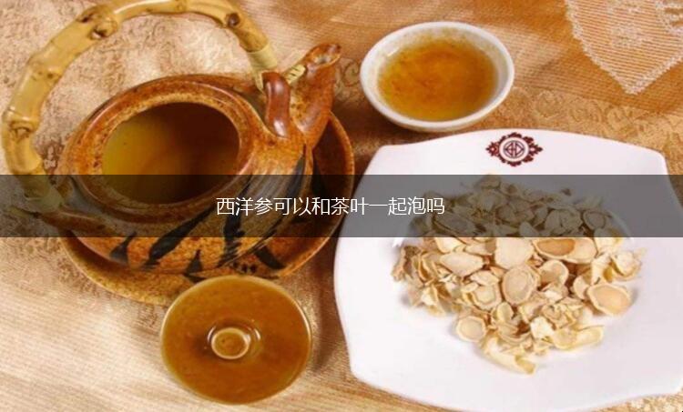 西洋参可以和茶叶一起泡吗,西洋参可以和茶叶一起泡吗,第1张