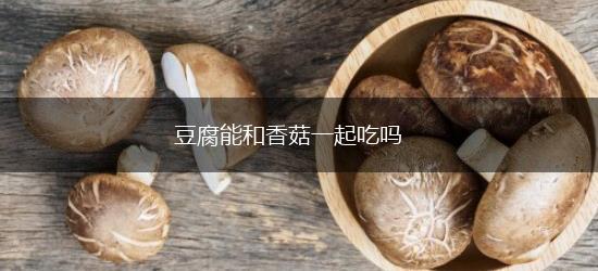 豆腐能和香菇一起吃吗,豆腐能和香菇一起吃吗,第1张