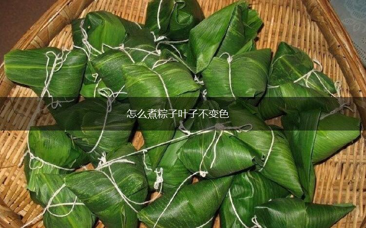 怎么煮粽子叶子不变色,怎么煮粽子叶子不变色,第1张