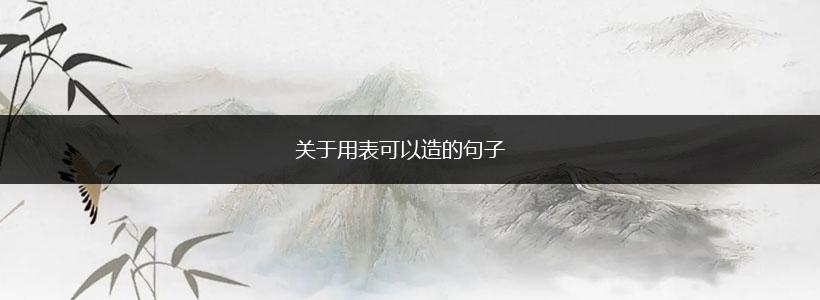 关于用表可以造的句子,第1张