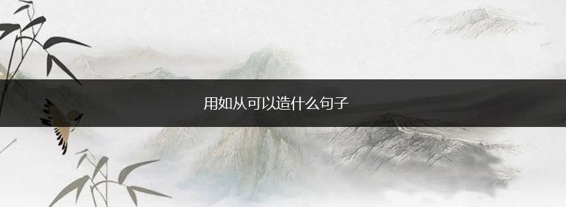 用如从可以造什么句子,第1张