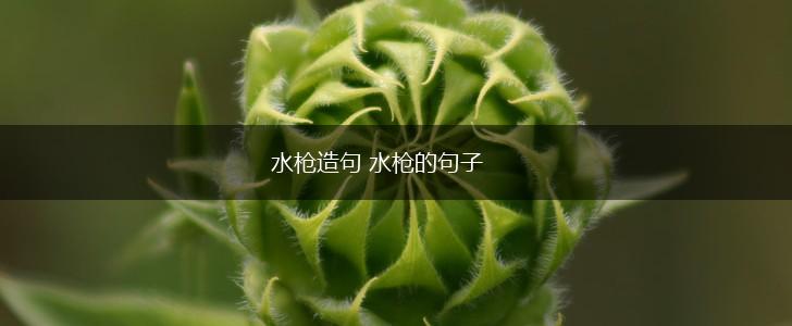 水枪造句 水枪的句子,第1张