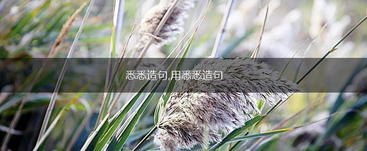 悉悉造句,用悉悉造句,第1张