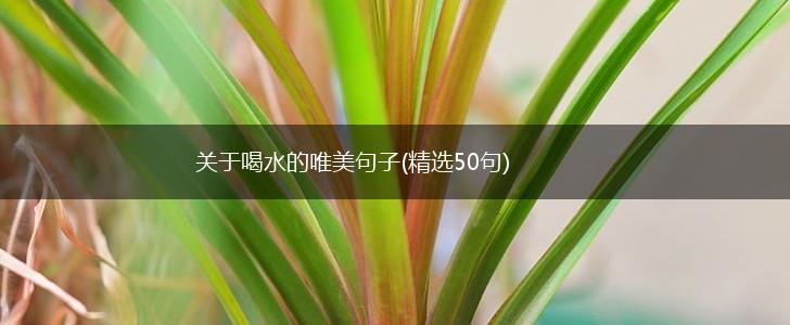 关于喝水的唯美句子(精选50句),第1张