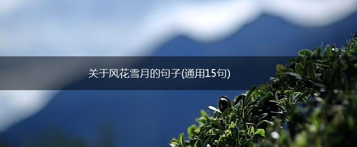 关于风花雪月的句子(通用15句),第1张