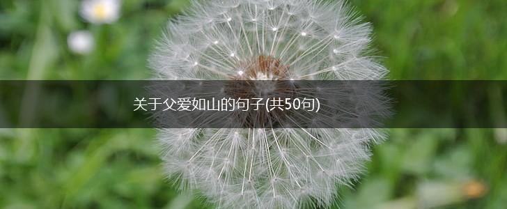 关于父爱如山的句子(共50句),第1张