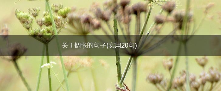 关于惆怅的句子(实用20句),第1张