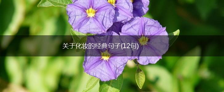 关于化妆的经典句子(12句),第1张