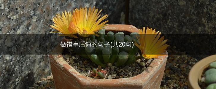 做错事后悔的句子(共20句),第1张