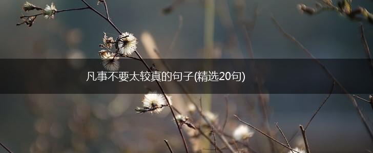 凡事不要太较真的句子(精选20句),第1张
