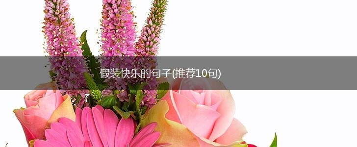 假装快乐的句子(推荐10句),第1张
