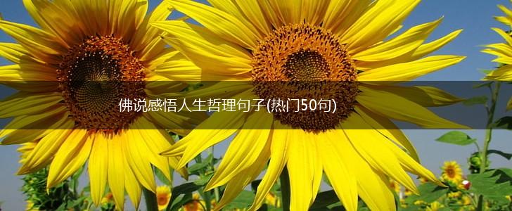 佛说感悟人生哲理句子(热门50句),第1张