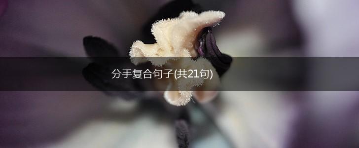 分手复合句子(共21句),第1张