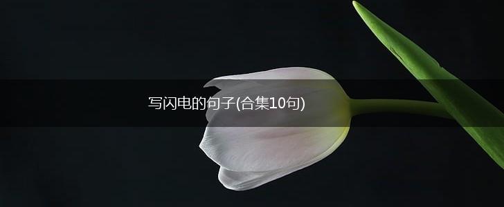 写闪电的句子(合集10句),第1张