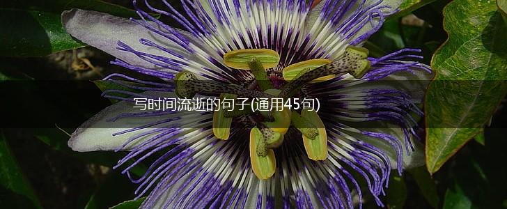 写时间流逝的句子(通用45句),第1张