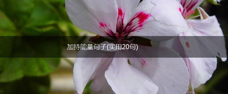 加持能量句子(实用20句),第1张