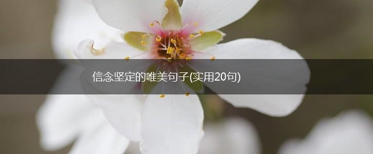 信念坚定的唯美句子(实用20句),第1张