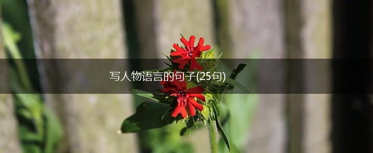 写人物语言的句子(25句),第1张