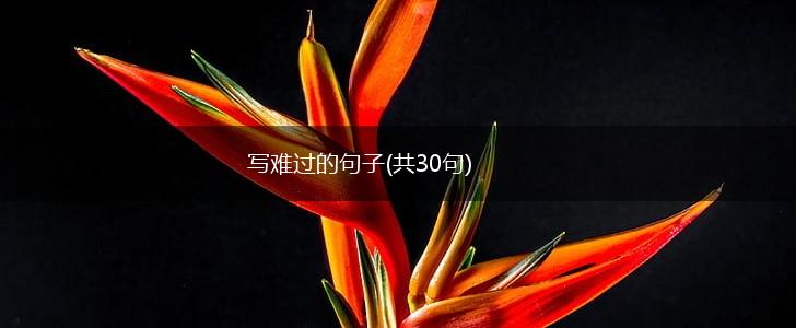 写难过的句子(共30句),第1张