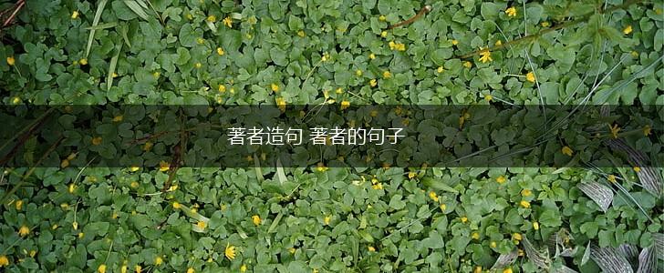 著者造句 著者的句子,第1张