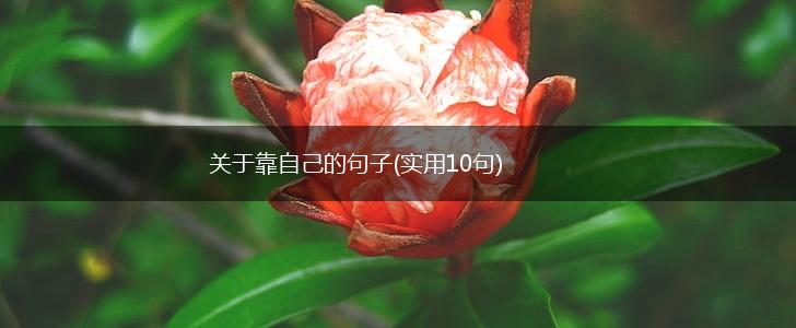 关于靠自己的句子(实用10句),第1张