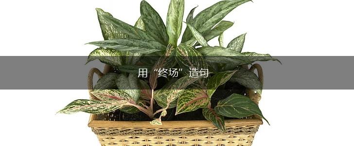 用“终场”造句,第1张