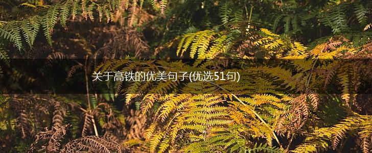 关于高铁的优美句子(优选51句),第1张