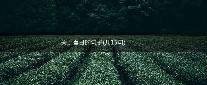 关于夏日的句子(共15句),第1张