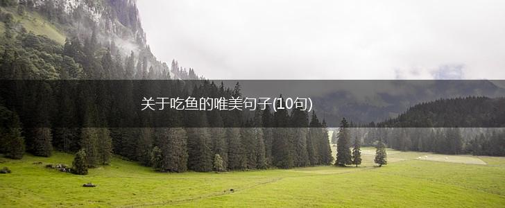 关于吃鱼的唯美句子(10句),第1张