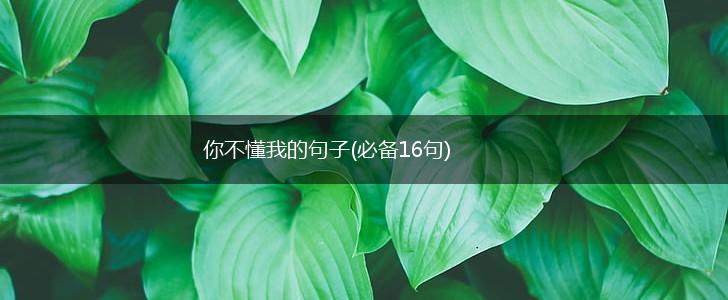 你不懂我的句子(必备16句),第1张