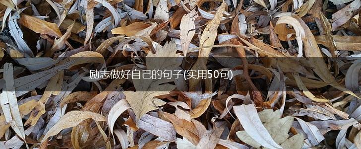 励志做好自己的句子(实用50句),第1张