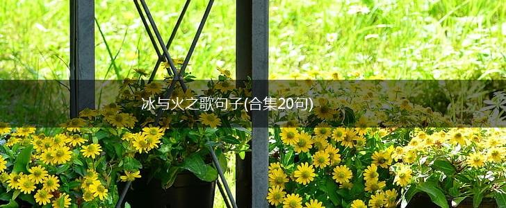 冰与火之歌句子(合集20句),第1张