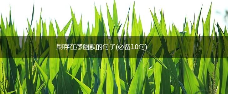 刷存在感幽默的句子(必备10句),第1张