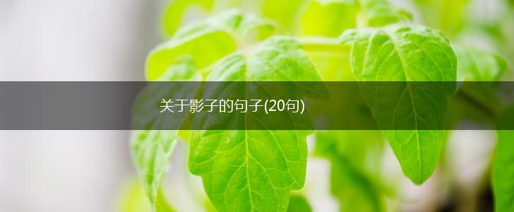 关于影子的句子(20句),第1张