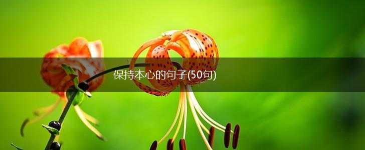 保持本心的句子(50句),第1张