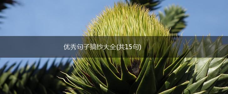 优秀句子摘抄大全(共15句),第1张