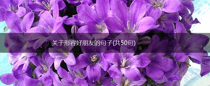 关于形容好朋友的句子(共50句),第1张