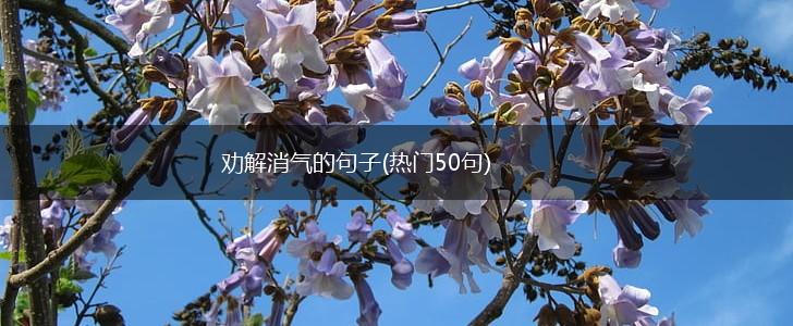劝解消气的句子(热门50句),第1张