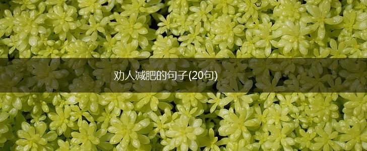 劝人减肥的句子(20句),第1张