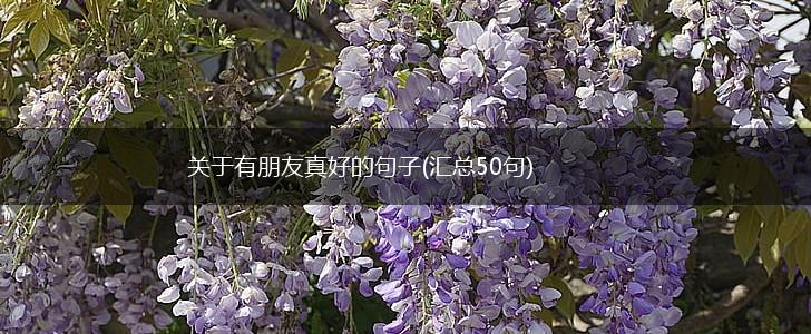 关于有朋友真好的句子(汇总50句),第1张