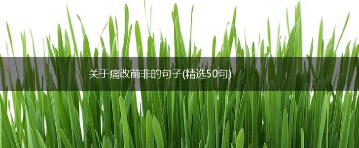 关于痛改前非的句子(精选50句),第1张