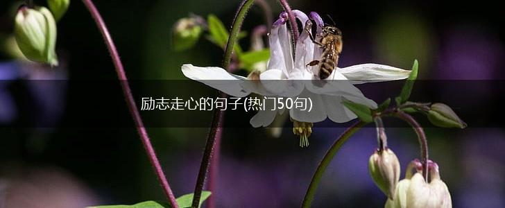 励志走心的句子(热门50句),第1张