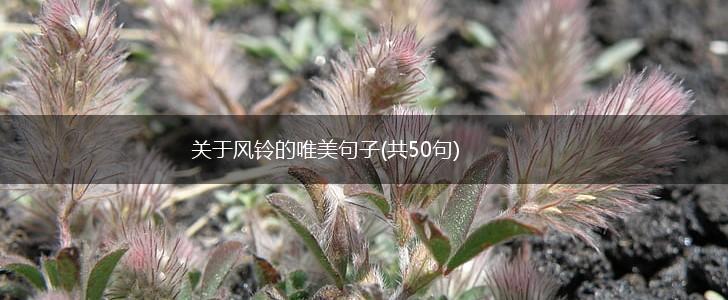 关于风铃的唯美句子(共50句),第1张