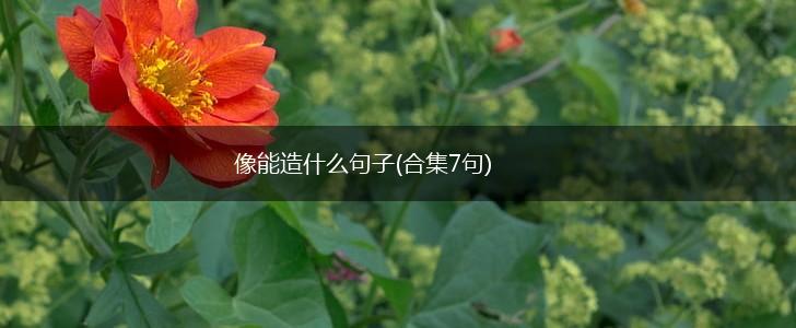 像能造什么句子(合集7句),第1张