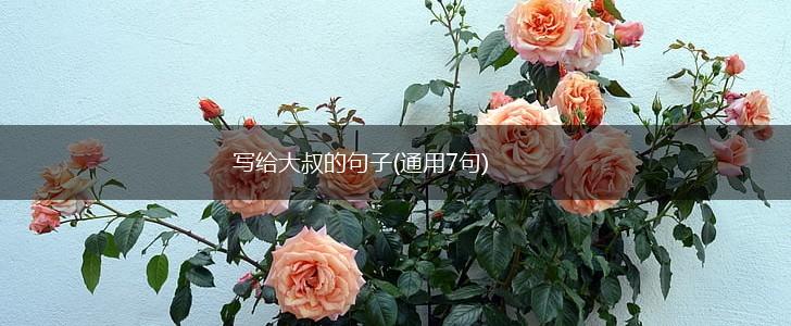 写给大叔的句子(通用7句),第1张