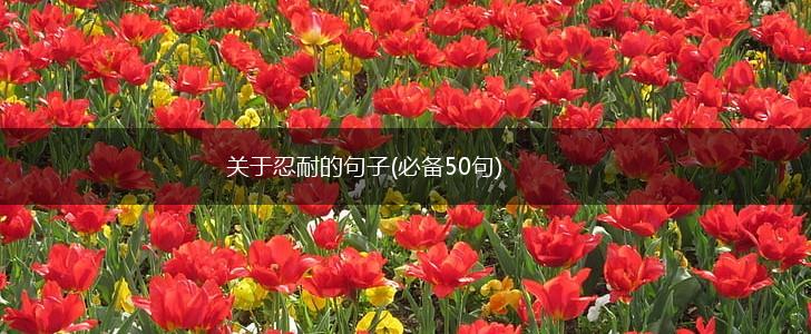 关于忍耐的句子(必备50句),第1张