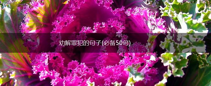 劝解罪犯的句子(必备50句),第1张