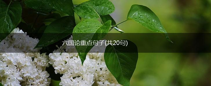 六国论重点句子(共20句),第1张