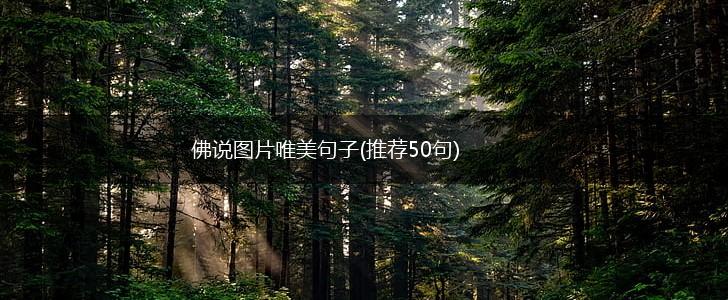 佛说图片唯美句子(推荐50句),第1张